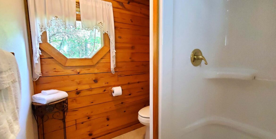 Midnight Forest Cabin Bathroom