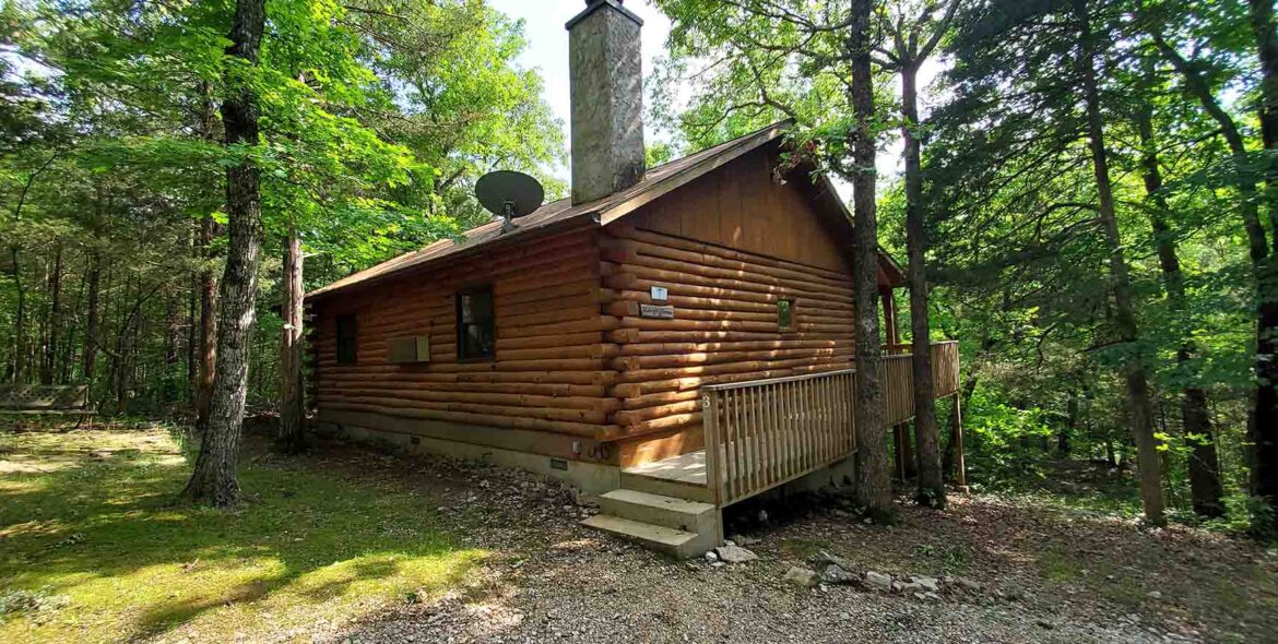 Midnight Forest Cabin Entrance