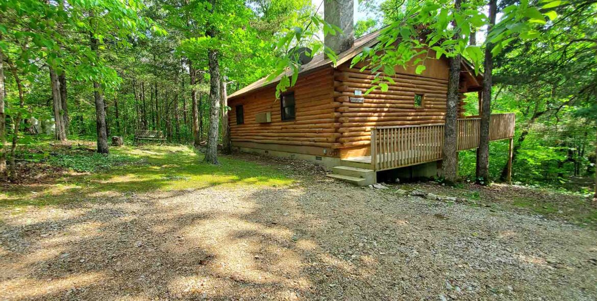 Midnight Forest Cabin Exterior & Parking