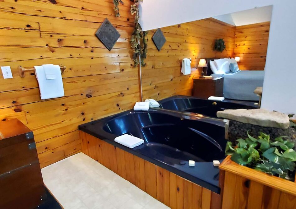 Midnight Forest Cabin Jetted Spa Tub