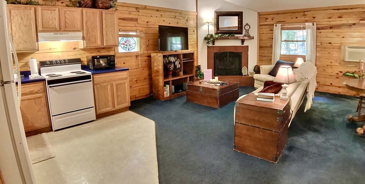 Midnight Forest Cabin Living Room & Kitchen