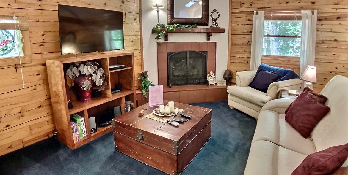 Midnight Forest Cabin Living Room & TV