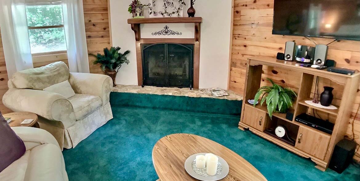 Woodland Violets Cabin Living Room & TV
